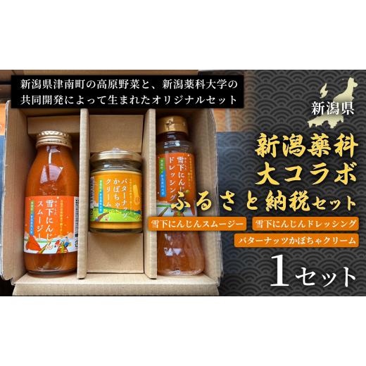 ふるさと納税 果汁飲料 セット 新潟県 津南町 野菜の栄養まるごとセット 新潟薬科大コラボ-ふるさと納税セット- 雪下にんじんスムージー1本 雪下にんじんドレ…