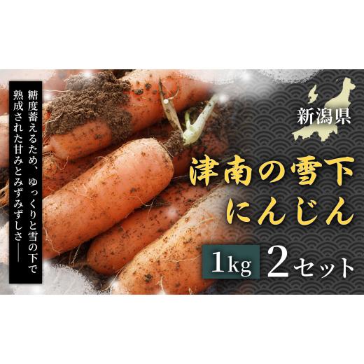 ふるさと納税 野菜類 人参 新潟県 津南町 令和8年産先行予約 フルーツのような甘さ 津南の雪下にんじん 1kg 2セット 産地直送 高級野菜 自然の甘み フルーツ…