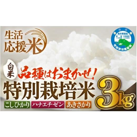ふるさと納税 米 福井県 越前町 生活応援米 令和7年産 米 特別栽培米 3kg 福井県越前町産 白米 お米 コメ kome 3キロ 家庭用 白米 玄米 農薬5割減 e81-a001_0…