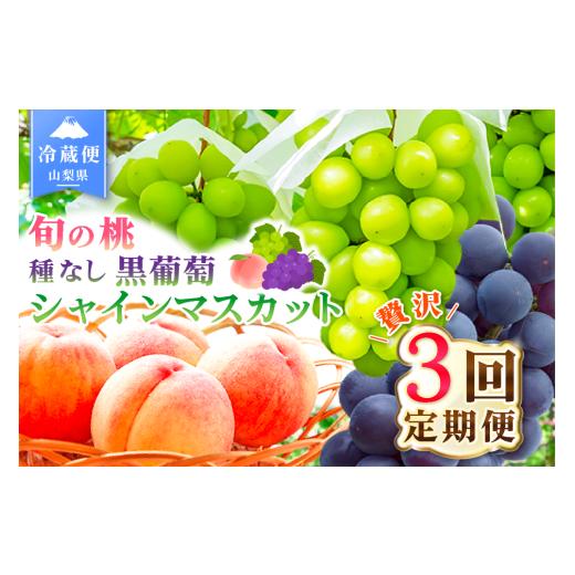 ふるさと納税 果物の詰合せ 山梨県 笛吹市 2026年発送 先行予約 3回定期便 旬のフルーツ定期便(桃1kg・種無し黒葡萄1房・シャインマスカット1房) 180-025-2…