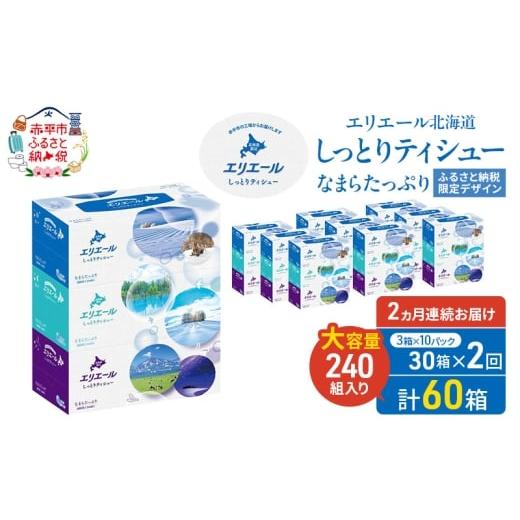 ふるさと納税 雑貨・日用品 北海道 赤平市 2ヵ月連続お届け・計60箱 エリエール 北海道 しっとりティシュー なまらたっぷり 240組3箱 10パック ふるさと納税…