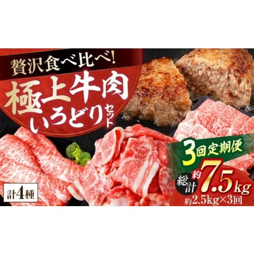 ふるさと納税 牛肉 ハンバーグ 高知県 高知市 3回定期便 牛肉 いろどりセット 総計7.5kg 切り落とし すき焼き 焼肉 ハンバーグ (有)山重食肉