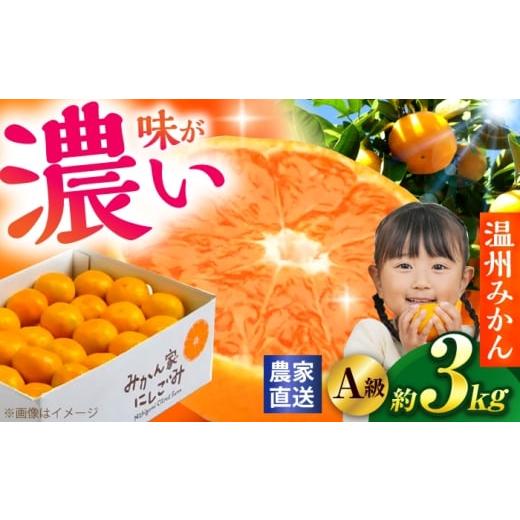 ふるさと納税 果物類 みかん 高知県 高知市 サイズおまかせ 高知県産温州みかんA級品 約3kg / みかん 柑橘 オレンジ 高知県 温州 株式会社にしごみ