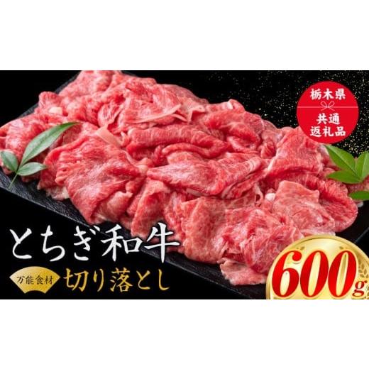 ふるさと納税 牛肉 栃木県 野木町 黒毛和牛 とちぎ和牛 焼肉 切り落とし A4〜A5等級 霜降り 赤身 ステーキ 極上 600g 数量限定 牛肉 冷凍 [30日以内に出荷予…