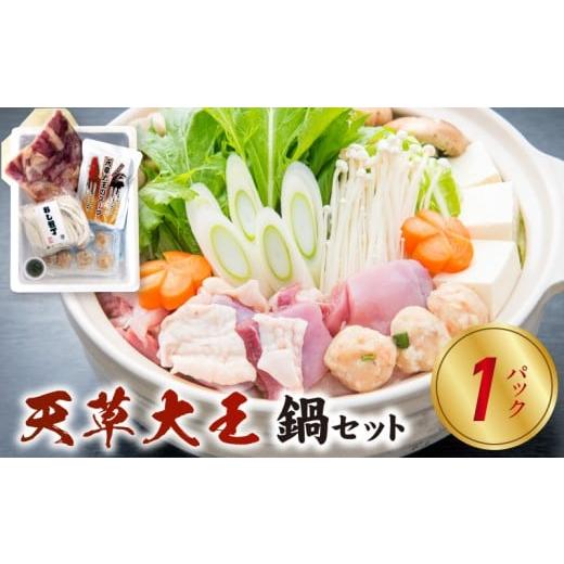 ふるさと納税 水炊き 熊本県 天草市 S011-024_天草大王鍋セット(天草大王鶏肉・天草大王濃縮スープ・天草大王つみれ等) 各1P