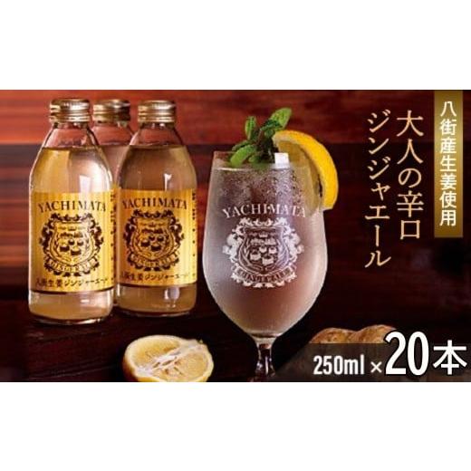 ふるさと納税 炭酸飲料 千葉県 八街市 八街市産生姜のみ使用 大人の辛口ジンジャーエール 250ml × 20本 ジンジャーエール 生姜 八街 ジュース ジンジャー 瓶…