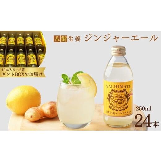 ふるさと納税 炭酸飲料 千葉県 八街市 ＼ ギフトにおすすめ / 大人 の 辛口 ジンジャーエール 250ml × 24本 贈答用 ギフト ギフト用 八街産 生姜 しょうが …