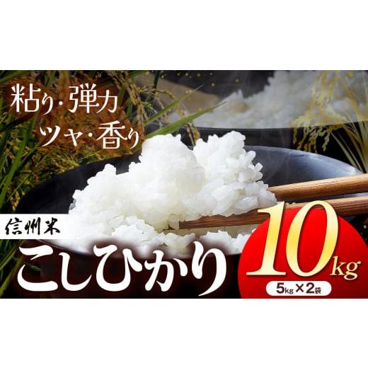 ふるさと納税 米 コシヒカリ 長野県 松本市 新米 令和7年産 米 こしひかり 白米 10kg(5kg×2袋) 松本市産 信州米 │ 信州 松本市 米 お米 コシヒカリ ふるさと…