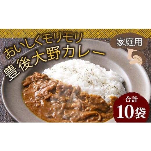 ふるさと納税 加工品等 レトルト 大分県 豊後大野市 015-1142x1 おいしくモリモリ豊後大野カレー 家庭用 10袋 計1.8kg / カレー 椎茸 しいたけ シイタケ さつ…