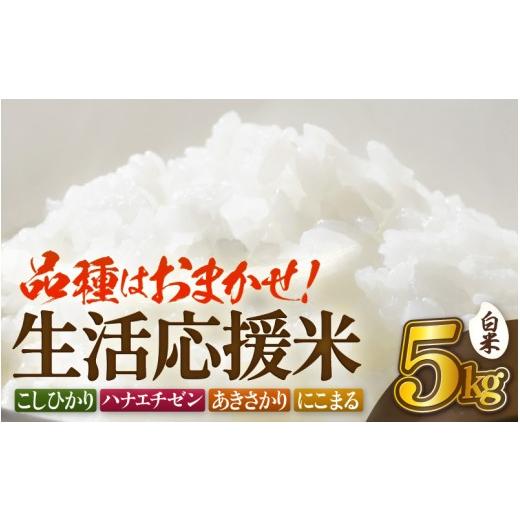 ふるさと納税 米 福井県 越前町 先行予約 令和8年産 米 生活応援米 5kg 福井県越前町産 白米 2026年10月中旬以降順次発送 お米 コメ kome 5キロ 家庭用 白米 …