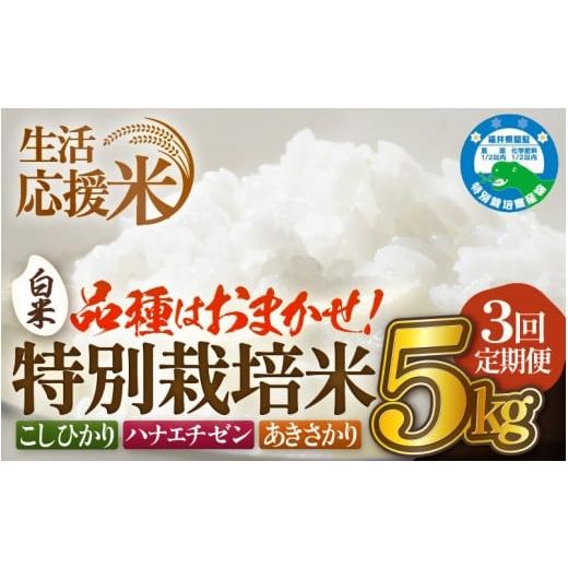 ふるさと納税 米 福井県 越前町 生活応援米 定期便 3ヶ月連続お届け 令和7年産 特別栽培米5kg × 3回(合計15kg)福井県越前町産 白米 お米 コメ kome 5キロ …
