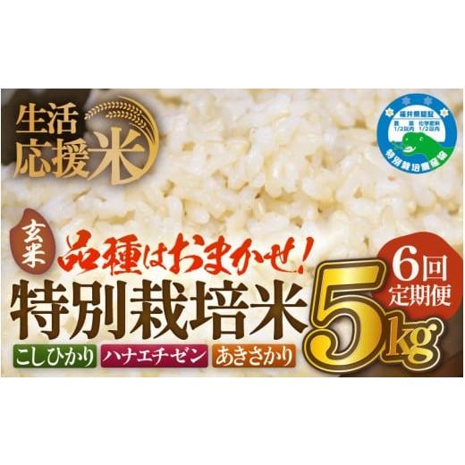 ふるさと納税 玄米 福井県 越前町 生活応援米 定期便 6ヶ月連続お届け 令和7年産 特別栽培米5kg × 6回(合計30kg)福井県越前町産 玄米 お米 コメ kome 5キ…