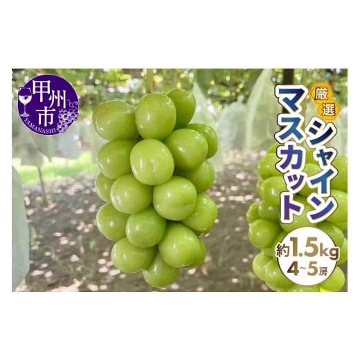 ふるさと納税 ぶどう マスカット 山梨県 甲州市 厳選シャインマスカット 約1.5kg(4〜5房) 2026年発送 (SFN)B15-1011 シャインマスカット 葡萄 ぶどう ブド…