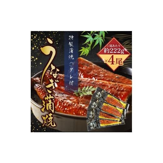ふるさと納税 惣菜・レトルト 冷凍 福岡県 大川市 うなぎ蒲焼(中国産222g×4尾)