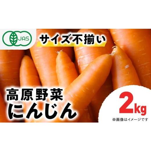 ふるさと納税 野菜類 人参 愛媛県 久万高原町 有機JAS認定 にんじん(紅奏)2kg サイズ不揃い | 愛媛県 久万高原町 てんねん農園 オーガニック 有機栽培 有…