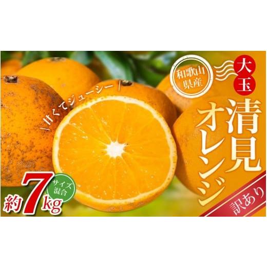 ふるさと納税 みかん・柑橘類 和歌山県 かつらぎ町 訳あり 森本農園の手選別 大玉清見オレンジ 約7kg 和歌山県産 サイズ混合 北海道・沖縄・離島配送不可 202…