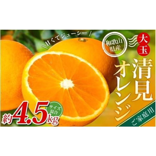 ふるさと納税 みかん・柑橘類 和歌山県 かつらぎ町 家庭用 森本農園の手選別 大玉清見オレンジ 約4.5kg 和歌山県産 サイズ混合 北海道・沖縄・離島配送不可 2…