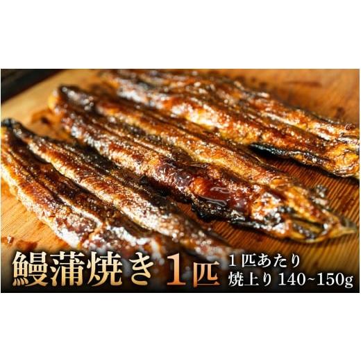 ふるさと納税 うなぎ 滋賀県 大津市 鰻蒲焼き 1匹 焼上り140〜150g RS001 / 鰻 うなぎ 国産鰻 国産うなぎ 鰻蒲焼 うなぎ蒲焼き