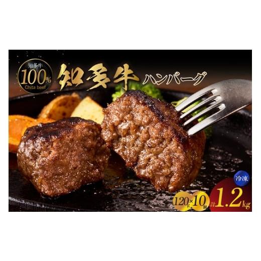 ふるさと納税 牛肉 ハンバーグ 愛知県 常滑市 知多牛100%手作りハンバーグ 120g×10個入り 国産牛 牛肉 ハンバーグ 惣菜 肉汁たっぷり ブランド牛 グルメ 冷…