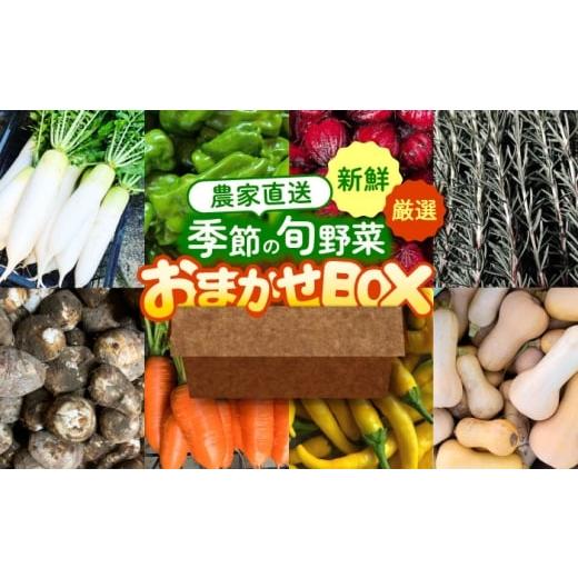 ふるさと納税 セット・詰合せ 愛知県 愛西市 野菜 季節の旬の野菜おまかせBOX 農家直送 野菜 詰め合わせ 愛西市 / 平野農園