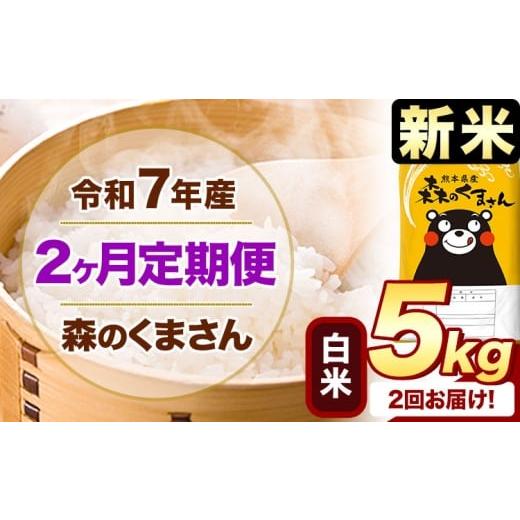 ふるさと納税 米 熊本県 御船町 2ヶ月定期便 新米 令和7年産 白米 森のくまさん 5kg [申込月の翌月から出荷開始] 熊本県産 精米 米 こめ コメ お米 kome