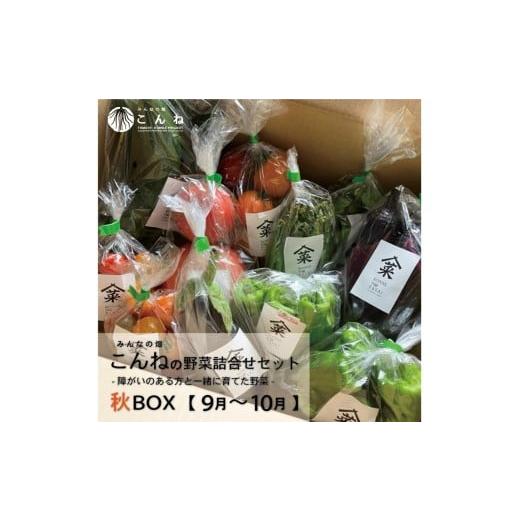 ふるさと納税 セット・詰合せ 北海道 北見市 予約:2026年9月から順次発送 こんねの旬の野菜詰め合わせセット 秋BOX 9〜10月 ( 野菜 やさい セット 詰め合わ…