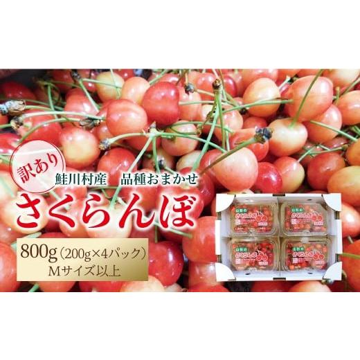 ふるさと納税 果物類 さくらんぼ 山形県 鮭川村 令和8年産 早期受付 訳あり 鮭川村産さくらんぼ 品種おまかせ フードパック800g(200g×4P)