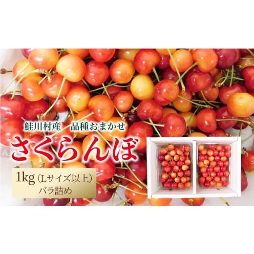 ふるさと納税 果物類 さくらんぼ 山形県 鮭川村 令和8年産 早期受付 鮭川村産さくらんぼ 品種おまかせ Lサイズ以上バラ詰め 1kg(500g×2P)