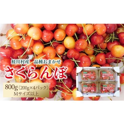 ふるさと納税 果物類 さくらんぼ 山形県 鮭川村 令和8年産 早期受付 鮭川村産さくらんぼ 品種おまかせ フードパック800g(200g×4P)