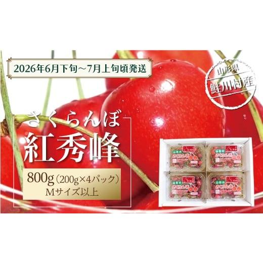 ふるさと納税 果物類 さくらんぼ 山形県 鮭川村 令和8年産 早期受付 鮭川村産さくらんぼ 紅秀峰 フードパック800g(200g×4P)