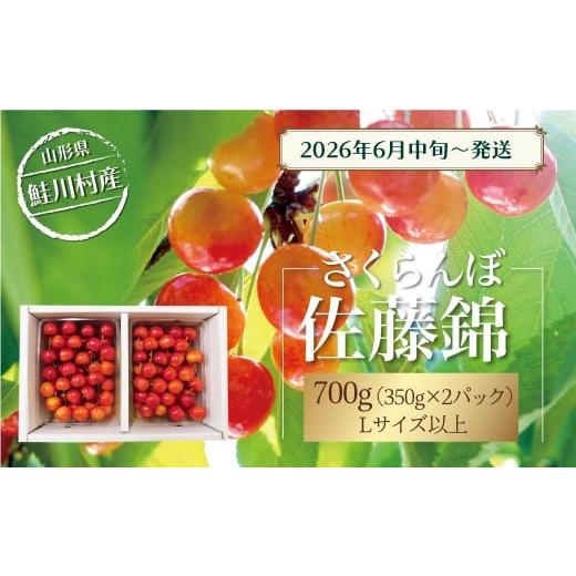 ふるさと納税 果物類 さくらんぼ 山形県 鮭川村 令和8年産 早期受付 鮭川村産さくらんぼ 佐藤錦 Lサイズ以上バラ詰め 700g(350g×2P)