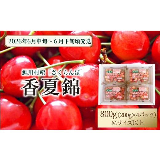 ふるさと納税 果物類 さくらんぼ 山形県 鮭川村 令和8年産 早期受付 鮭川村産さくらんぼ 香夏錦 M〜Lサイズ混合 フードパック800g(200g×4P)
