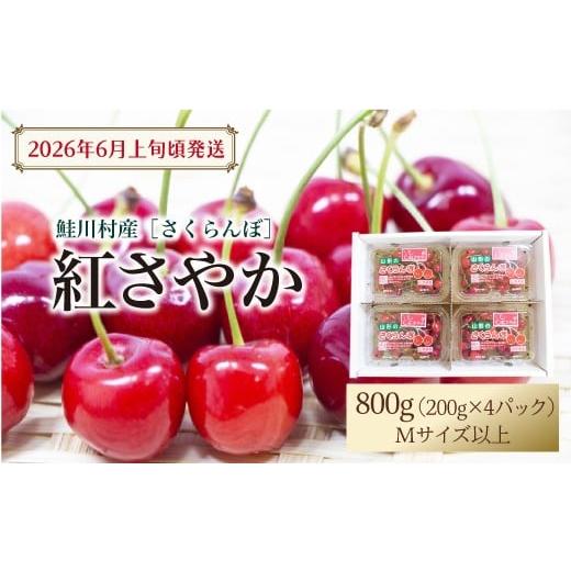 ふるさと納税 果物類 さくらんぼ 山形県 鮭川村 令和8年産 早期受付 鮭川村産さくらんぼ 紅さやか M〜Lサイズ混合 フードパック800g(200g×4P)