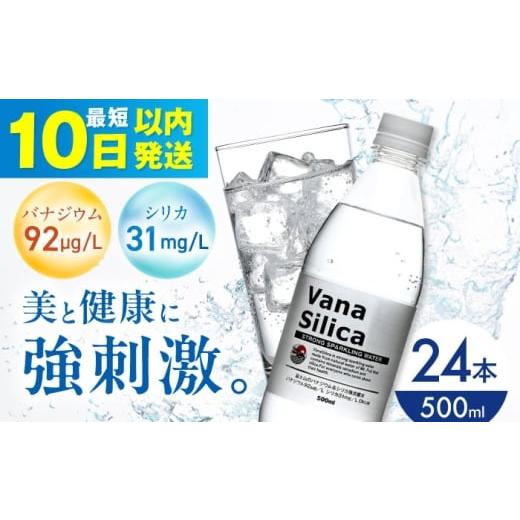 ふるさと納税 水・ミネラルウォーター 500mL〜999mL 大阪府 高槻市 年内発送 10日以内発送 VanaSilica(バナシリカ) 富士山のバナジウム&シリカ 強炭酸水 5…