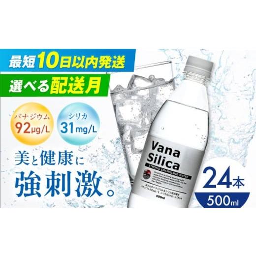 ふるさと納税 水・ミネラルウォーター 500mL〜999mL 大阪府 高槻市 2月発送 VanaSilica(バナシリカ) 富士山のバナジウム&シリカ 強炭酸水 500ml 24本 炭酸…