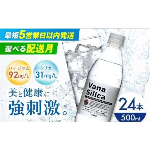 ふるさと納税 水・ミネラルウォーター 500mL〜999mL 大阪府 高槻市 3月発送 VanaSilica(バナシリカ) 富士山のバナジウム&シリカ 強炭酸水 500ml 24本 炭酸…