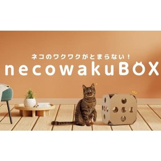 ふるさと納税 雑貨・日用品 山梨県 都留市 necowakuBOX |ネコワクボックス ネコ 猫 ねこ ねこグッズ おもちゃ ペット ペット用品 ねこ ネコワク