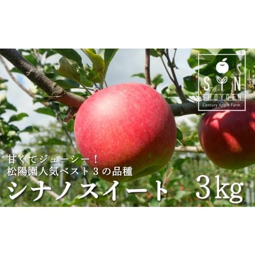 ふるさと納税 りんご 岩手県 遠野市 先行予約|2026年10月中旬頃から順次発送 りんご シナノスイート 3kg 松陽園 岩手県 遠野市 樹上完熟 農家直送 ご贈答 シ…