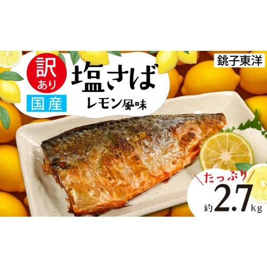 ふるさと納税 魚貝類 千葉県 銚子市 訳あり 国産 塩さば レモン風味 約2.7kg 鯖 さば 塩鯖 フィーレ フィレ 国内産 味付き 味付け 魚介類 魚 魚貝 魚介 海鮮 …