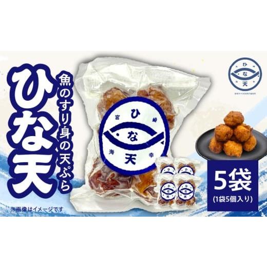 ふるさと納税 惣菜・レトルト 冷凍 宮崎県 宮崎市 魚のすり身の天ぷら「ひな天」