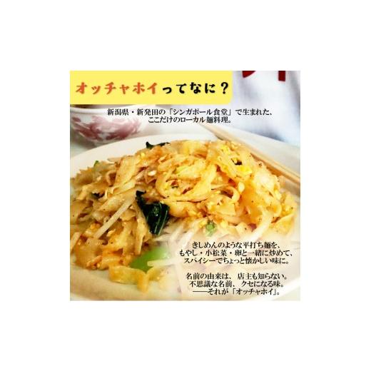ふるさと納税 服 男 新潟県 新発田市  3Lサイズ Tシャツ オッチャホイ グレー シンガポール食堂 ソウルフード プリントTシャツ ご当地 ご当地グルメ B級グルメ… |  | 02