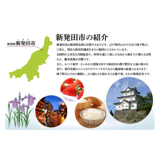 ふるさと納税 服 男 新潟県 新発田市  3Lサイズ Tシャツ オッチャホイ グレー シンガポール食堂 ソウルフード プリントTシャツ ご当地 ご当地グルメ B級グルメ… |  | 06