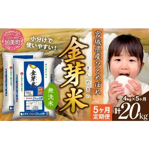 ふるさと納税 無洗米 宮城県 加美町 無洗米 定期便 5回 米 金芽米 令和7年 宮城県産 ひとめぼれ 計 20kg ( 4kg × 5ヶ月 ) 宮城県 加美町 km-my-knm04-t5-r7 …