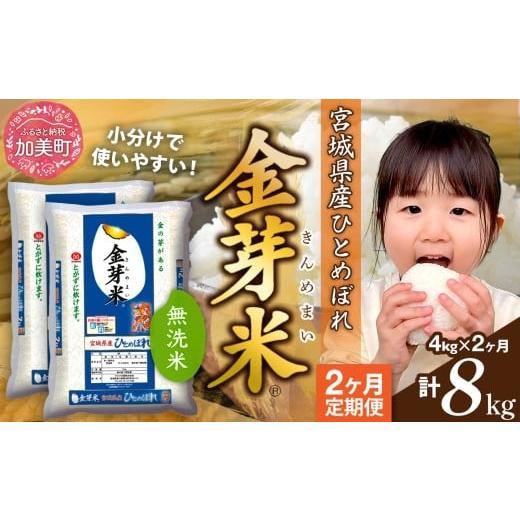 ふるさと納税 無洗米 宮城県 加美町 無洗米 定期便 2回 米 金芽米 令和7年 宮城県産 ひとめぼれ 計 8kg ( 4kg × 2ヶ月 ) 宮城県 加美町 km-my-knm04-t2-r7 計…