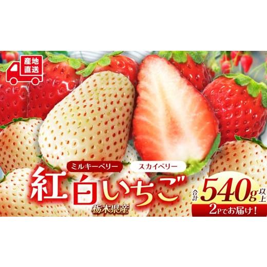 ふるさと納税 いちご 栃木県 下野市 栃木県産 スカイベリー ミルキーベリー | 約270g×2 紅白 2025年度産 2026年12月より随時出荷 産地 大粒 冬 味覚 いちご …