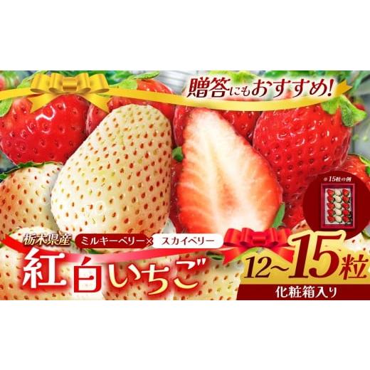 ふるさと納税 いちご 栃木県 下野市 栃木県産 スカイベリー ミルキーベリー | 12〜15粒化粧箱入 紅白 2025年度産 2026年12月より随時出荷 産地 大粒 冬 味覚 …
