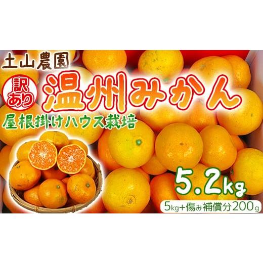 ふるさと納税 果物類 みかん 大分県 杵築市 12月21日決済分まで年内発送 訳あり 土山農園の温州みかん 屋根掛けハウス栽培 5kg+傷み補償分200g 家庭用 (宮…