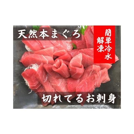 ふるさと納税 マグロ 神奈川県 三浦市 切れてるお刺身 天然本まぐろ中トロ 簡単冷水解凍 4月お届け M005-016-04 4月お届け