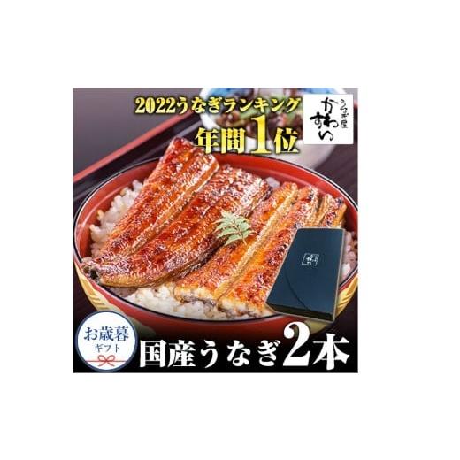 ふるさと納税 うなぎ 和歌山県 有田市 (お歳暮)国産うなぎ蒲焼き大サイズ2本セット(A1115-1)