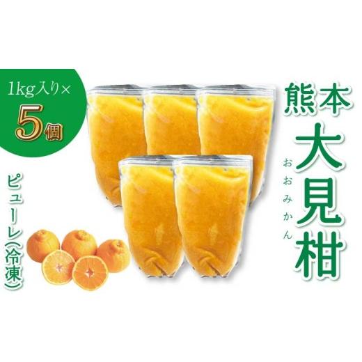 ふるさと納税 果汁飲料 みかん 熊本県 宇城市 熊本大見柑ピューレ(冷凍) 1kg入り 5個 不知火 不知火果汁 しらぬい デコポンと同品種 ピューレ アイス お菓子 …の画像
